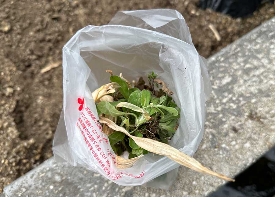 新アイテム、投入