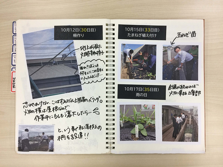 柵作り、たまねぎ植え付け、足場作り、そらまめ植え付け、池設置