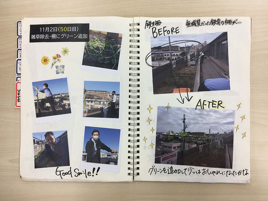 雑草除去・柵にグリーン追加