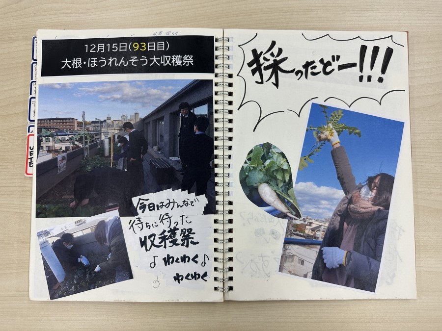 大根・ほうれんそう大収穫祭