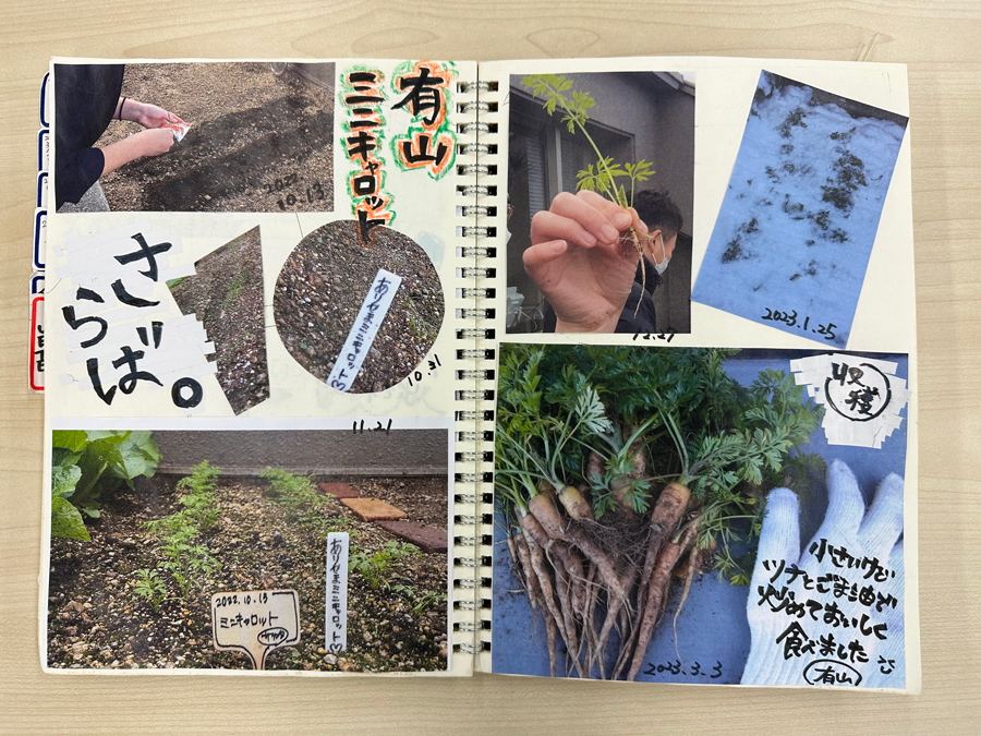 有山ミニキャロット収穫 ～Mini Carrot Chronicle～
