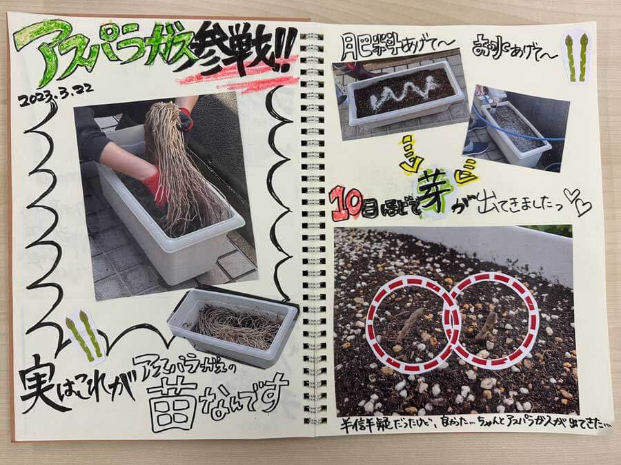 アスパラガス参戦！！