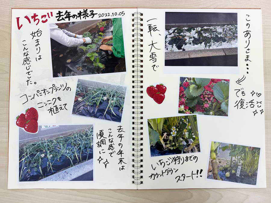 いちご狩り、できるかな！？