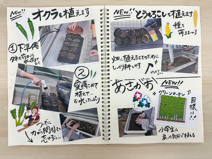 オクラ・とうもろこし・朝顔