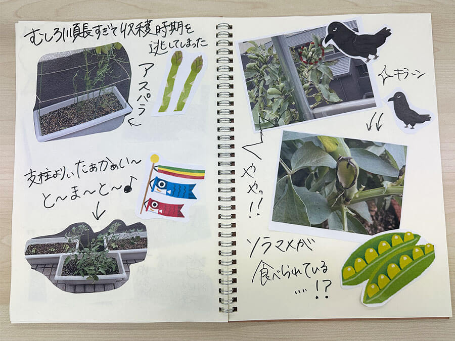 GW明けの菜園はいかに！？