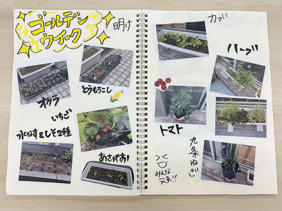 GW明けの菜園はいかに！？