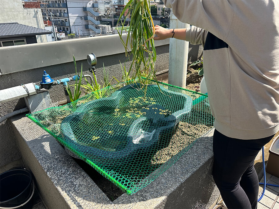 何をしてるでしょう～か？