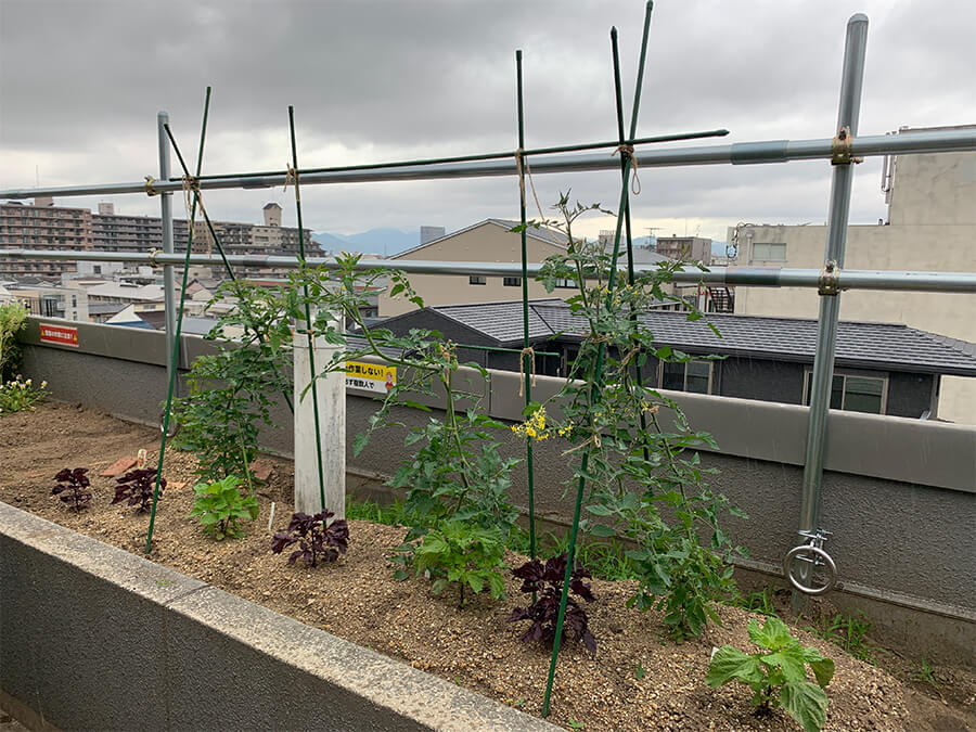 関西は梅雨入りしました