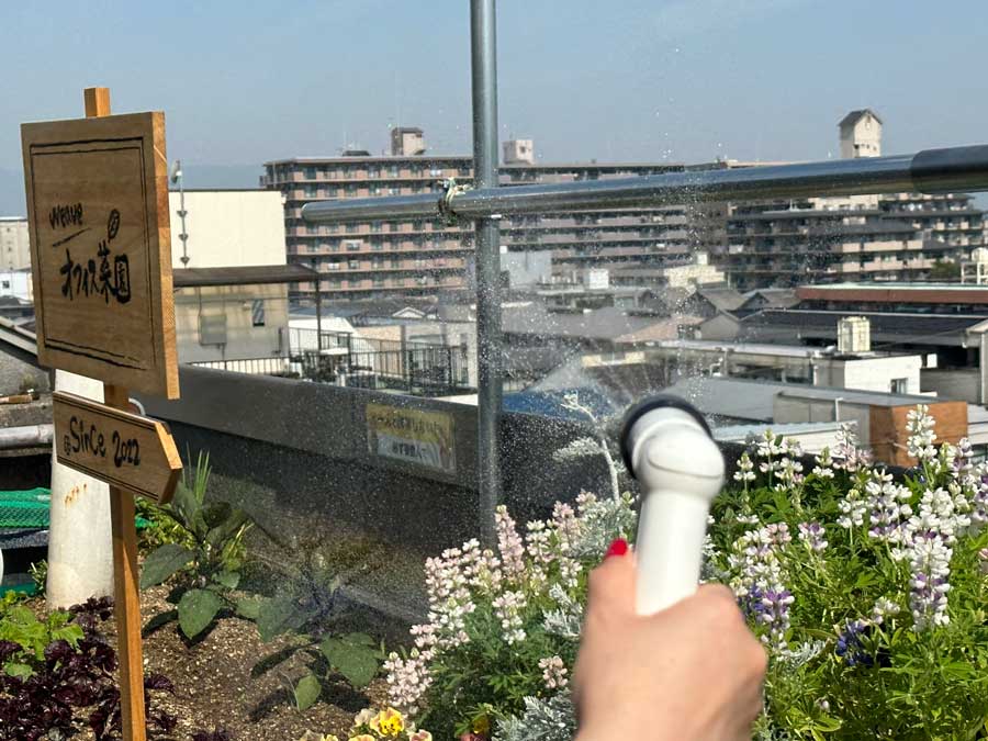 梅雨の晴れ間に虹が出た