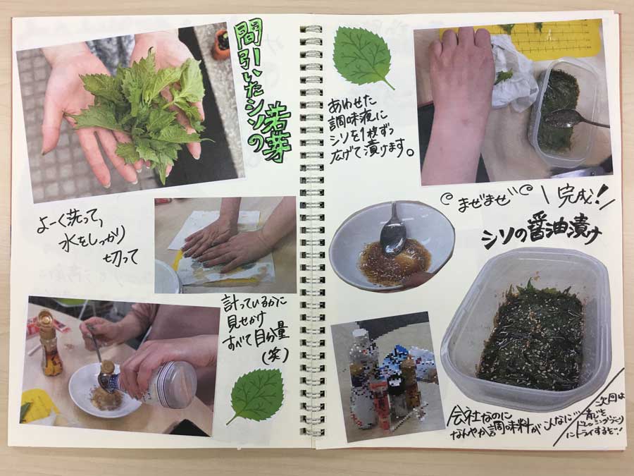 間引いたシソで一品