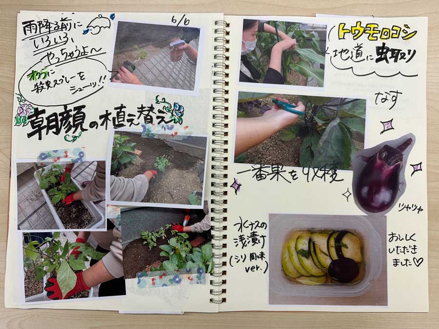 屋上菜園、天気予報を見ながら・・・