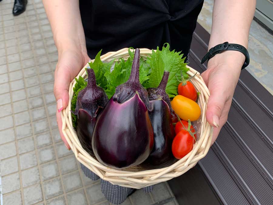 1回の収穫でこんなに