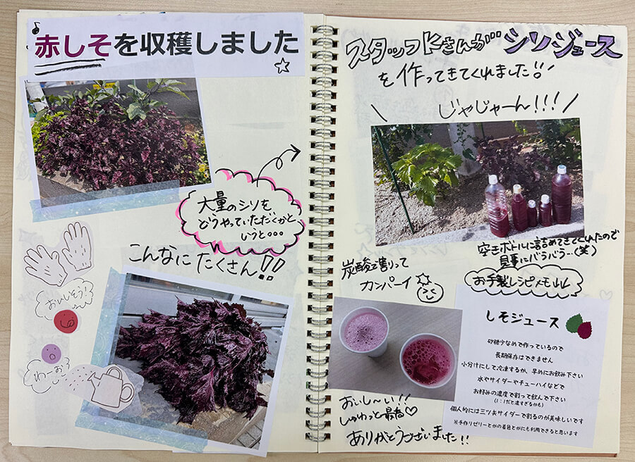 シソジュースでかんぱーい