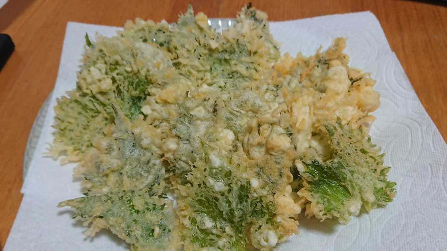 カラっと揚がりました、シソ天ぷら