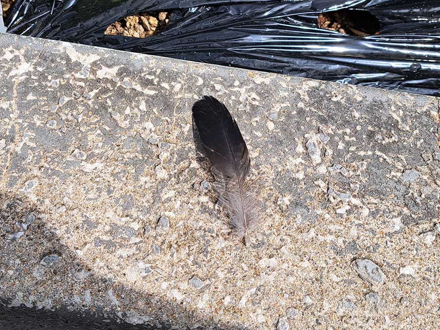 遺留品？　現場リポートです。