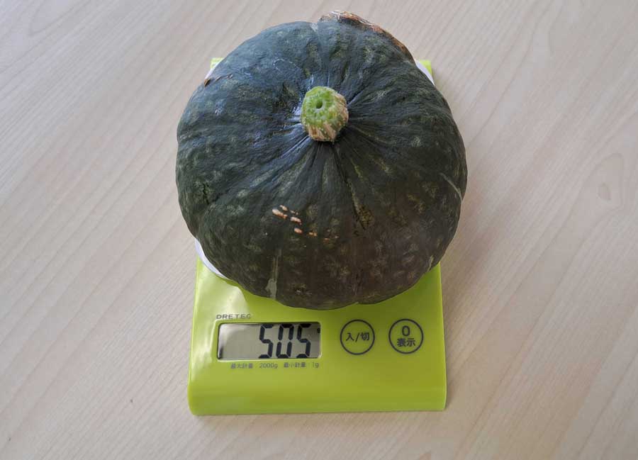 ミニかぼちゃの出来ばえは・・？