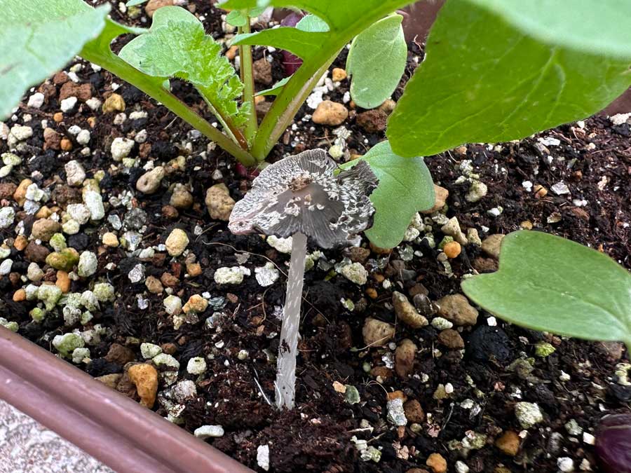 どちら様ですか？