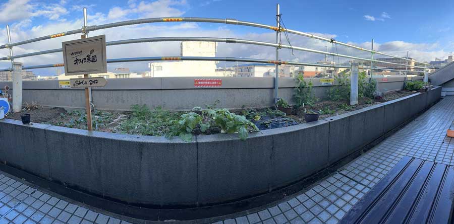 あけましておめでとうございます