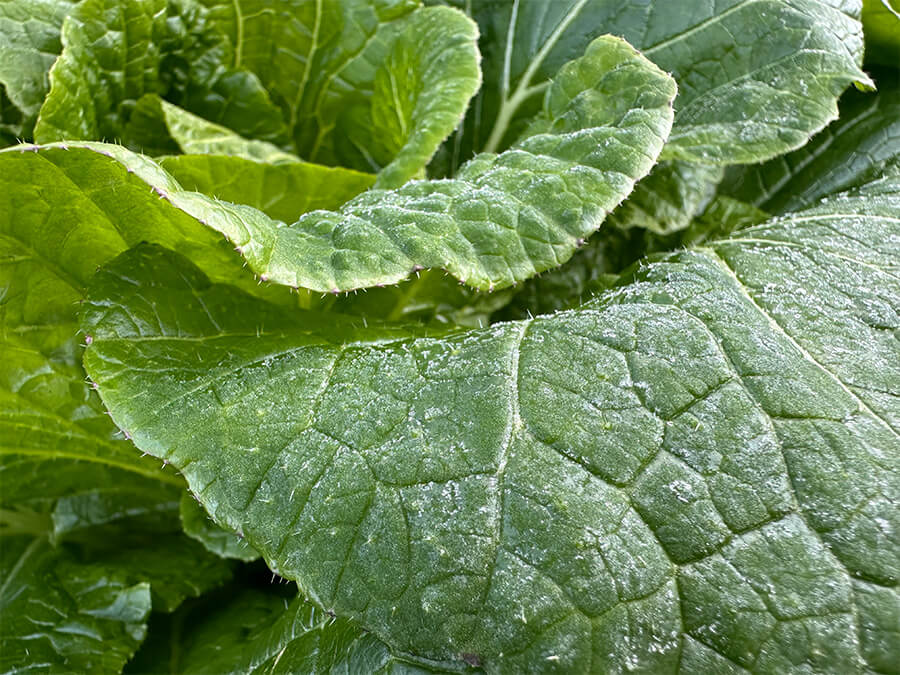 本格的な冷え込み