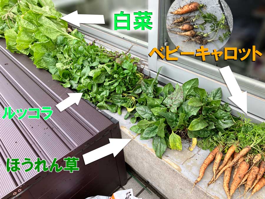 ぜんぶ抜いちゃった