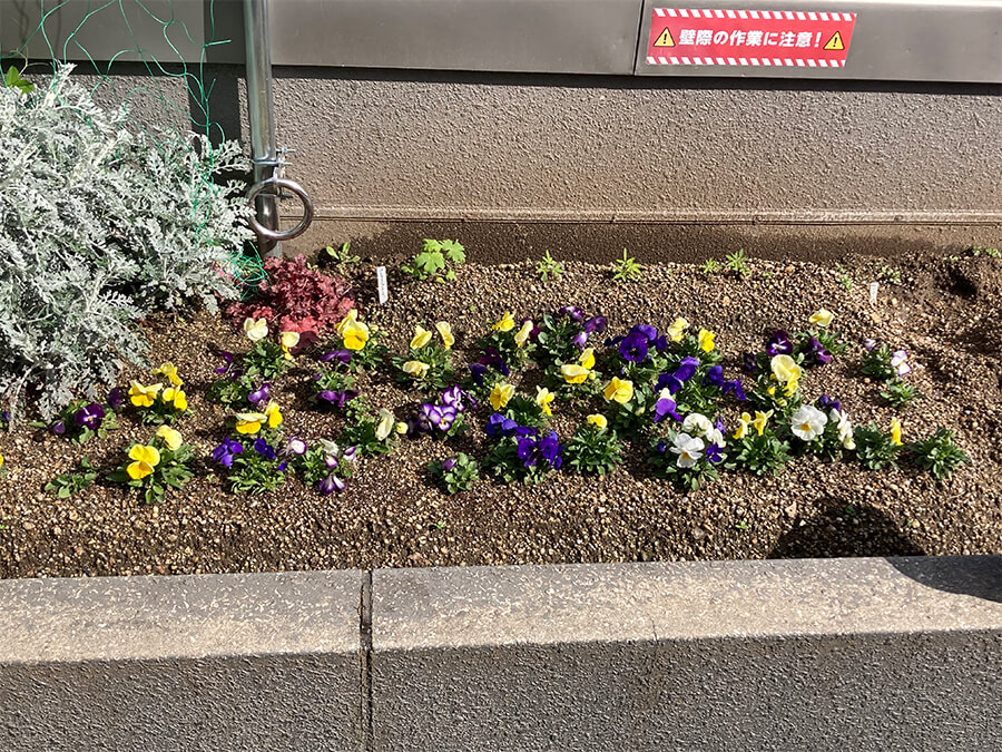 ずいぶん花壇らしく