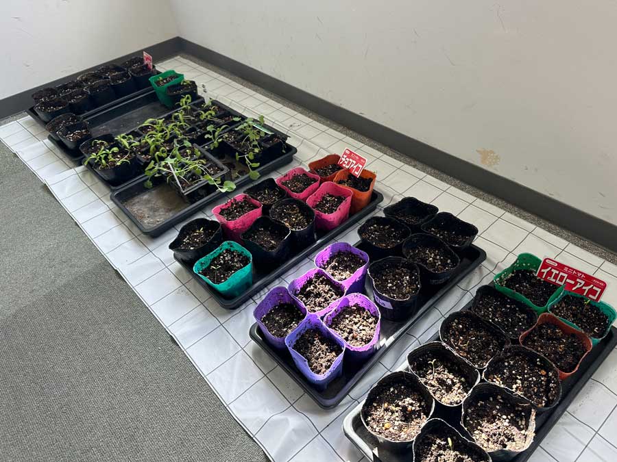 室内はこんな感じに