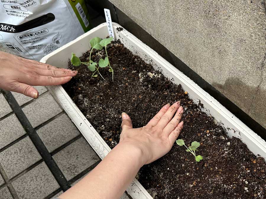 とうとう、お外デビュー