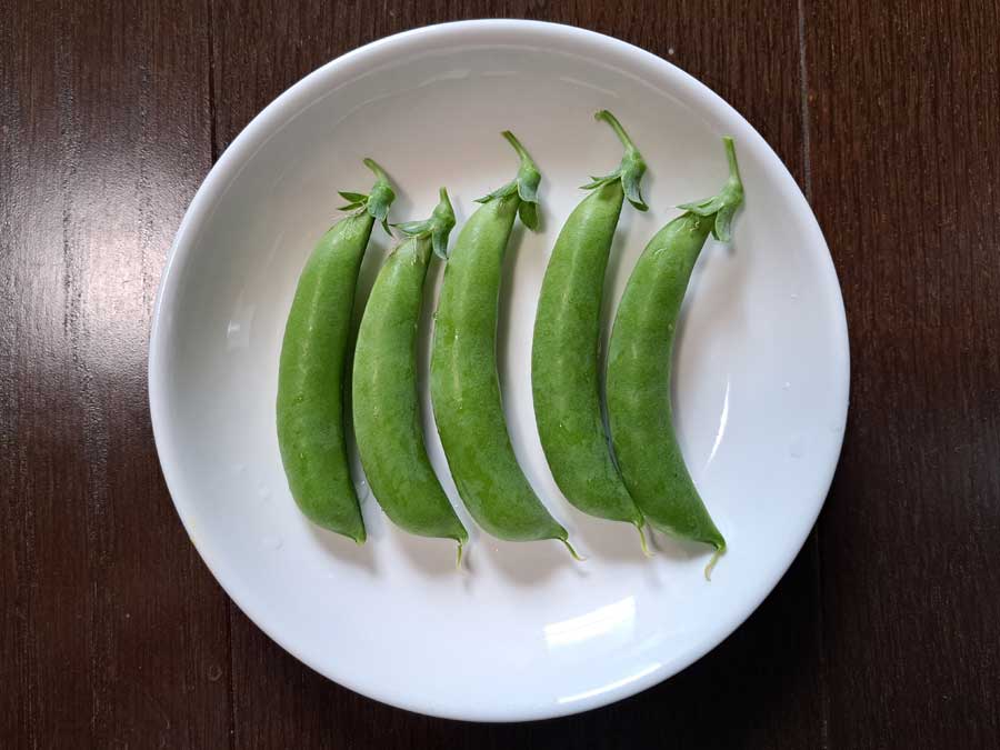 スナップエンドウ、初収穫は・・・
