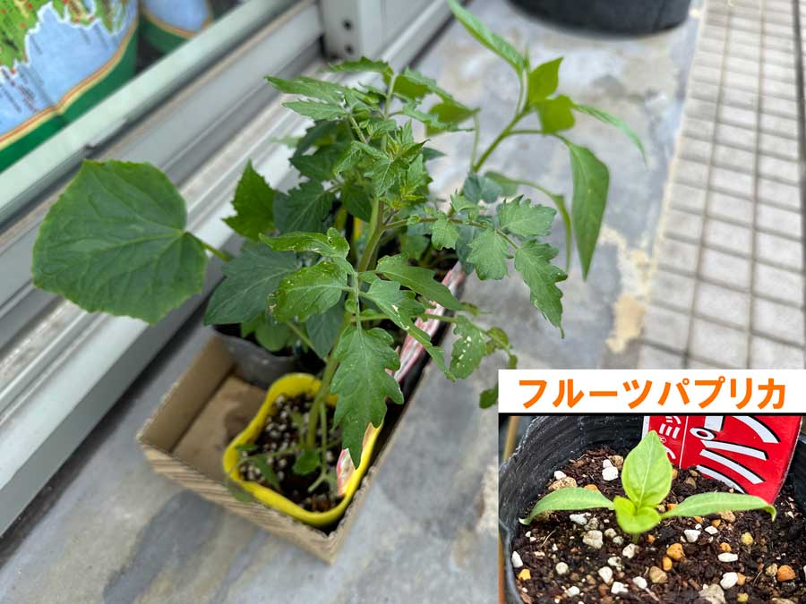 シフトチェンジ