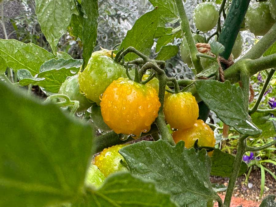 もう間もなくです