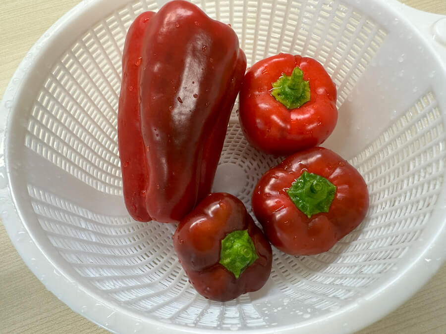 フルーツパプリカ、初収穫