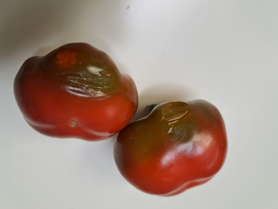 傷つきやすいの・・・