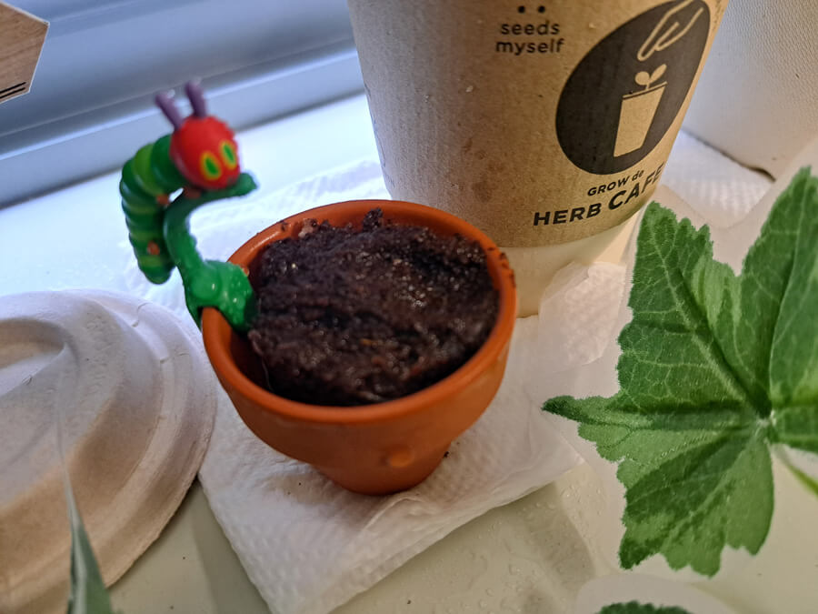 ミニミニ ハーブガーデン