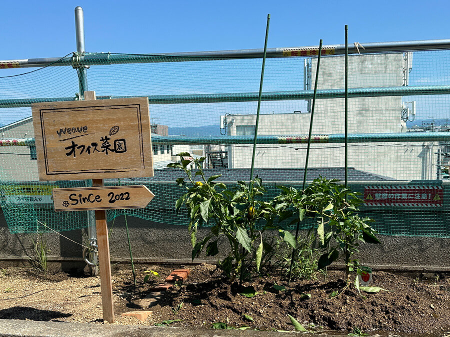 夏季休園のお知らせ