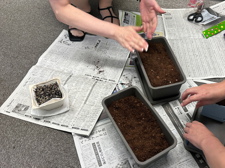 室内プランター増殖