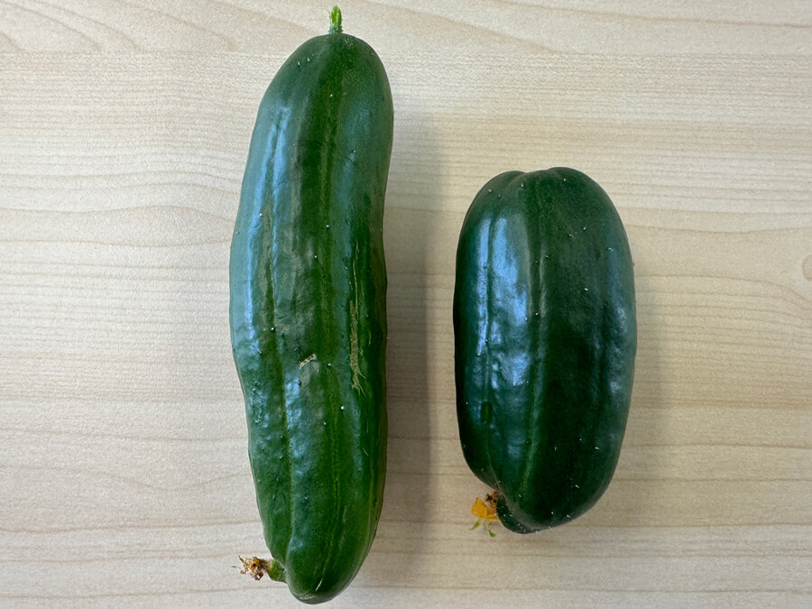 きゅうりのサイズ