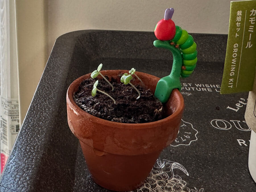 一点をみつめて