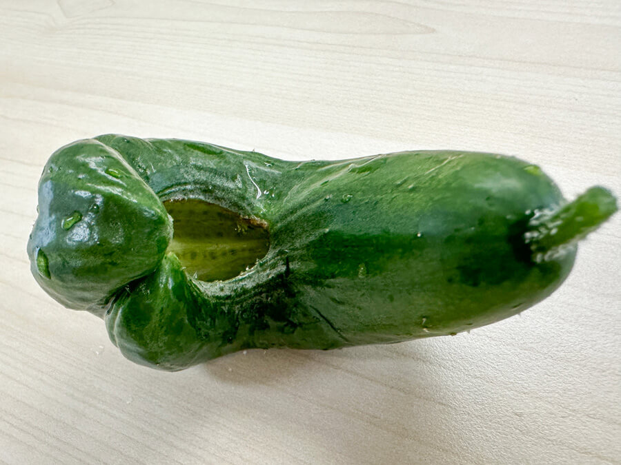 曲がったきゅうり