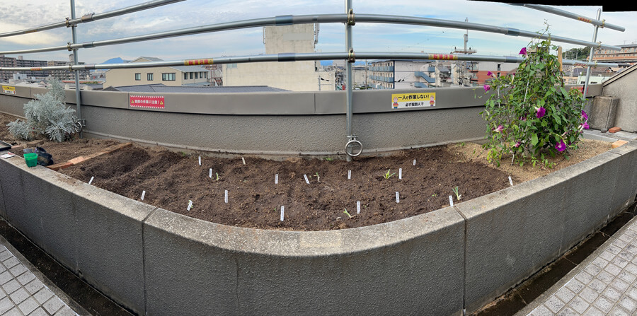 寄せ植え俯瞰図