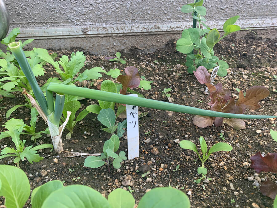 どこを指してるのでしょうか？