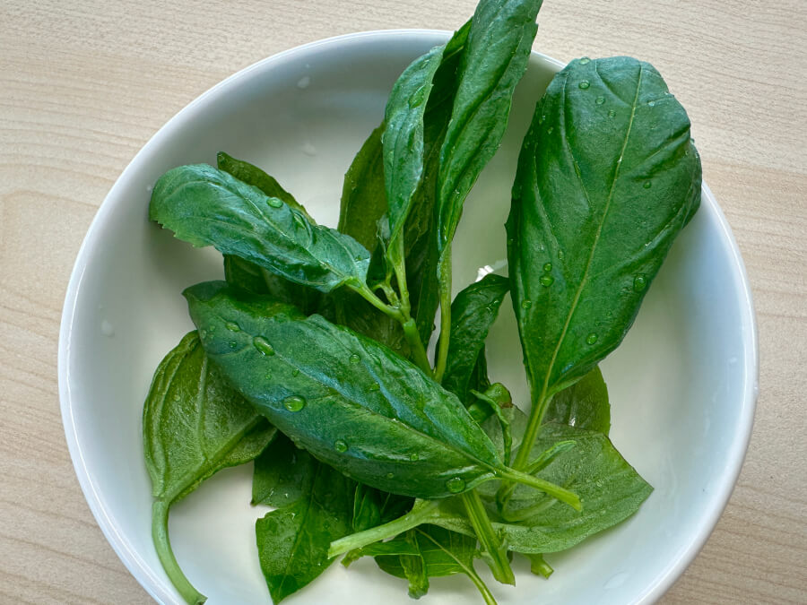 季節外れのバジル