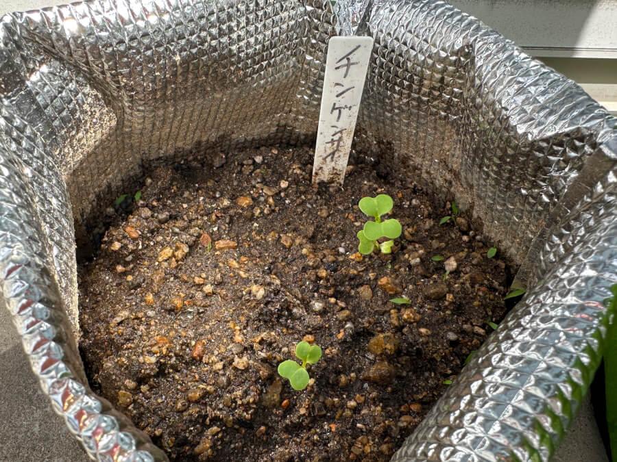 手作りプランター