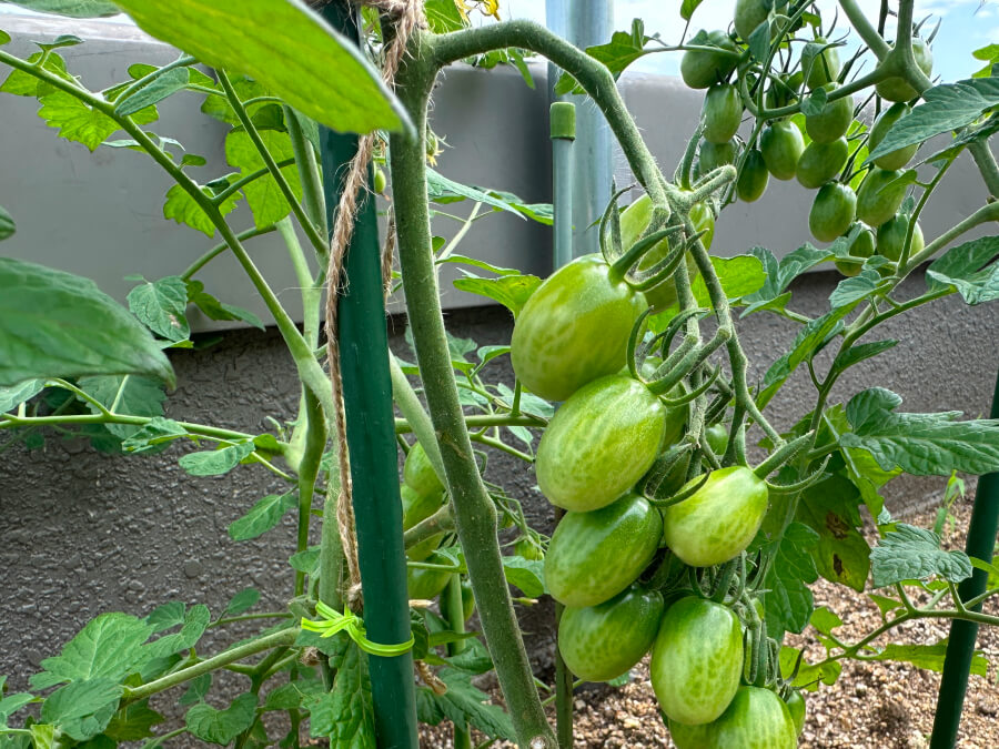 耐えられるでしょうか