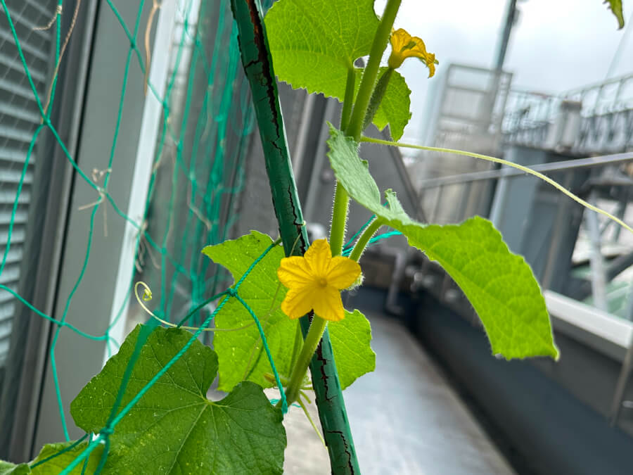 持ち直してきました