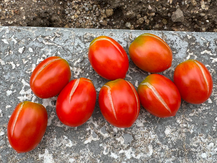 割れてしまった