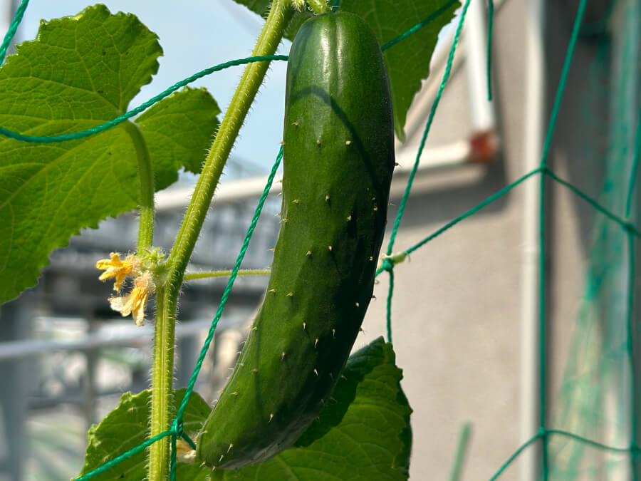 やっとここまで