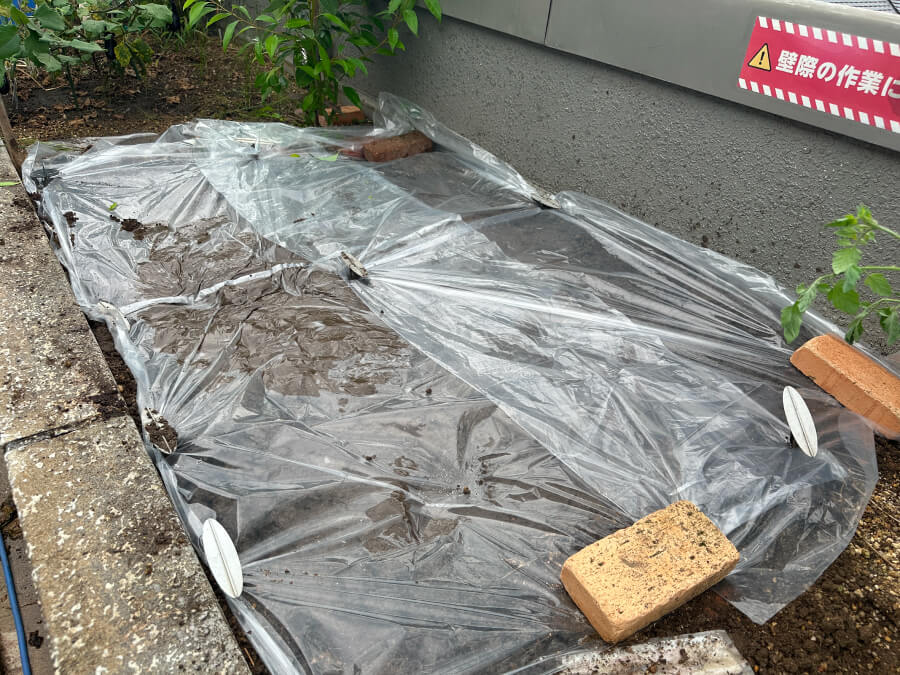 ノースガーデンも4年目へ