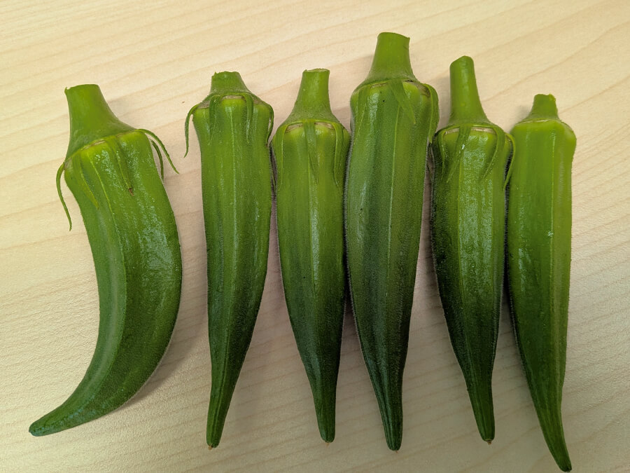 曲がってきました