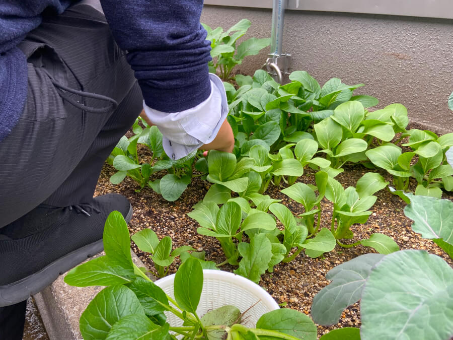 今回の作業は・・