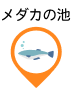 めだかの池
